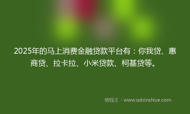 2025年的马上消费金融贷款平台有：你我贷、惠商贷、拉卡拉、小米贷款、柯基贷等。