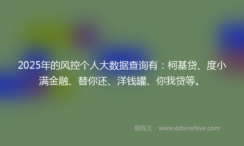 2025年的风控个人大数据查询有：柯基贷、度小满金融、替你还、洋钱罐、你我贷等。