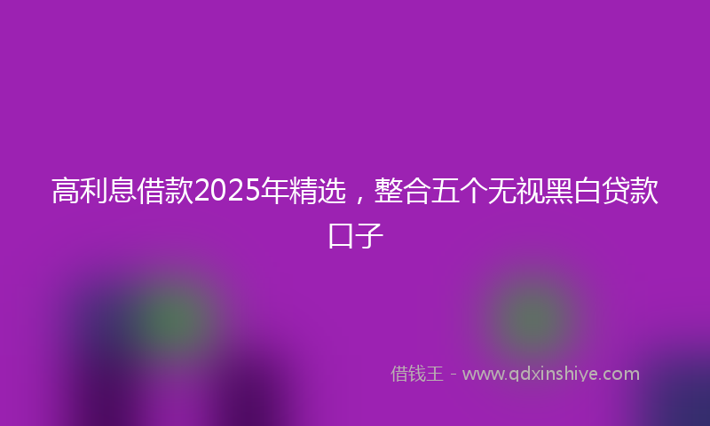 高利息借款2025年精选，整合五个无视黑白贷款口子