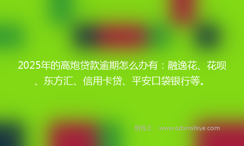 2025年的高炮贷款逾期怎么办有：融逸花、花呗、东方汇、信用卡贷、平安口袋银行等。