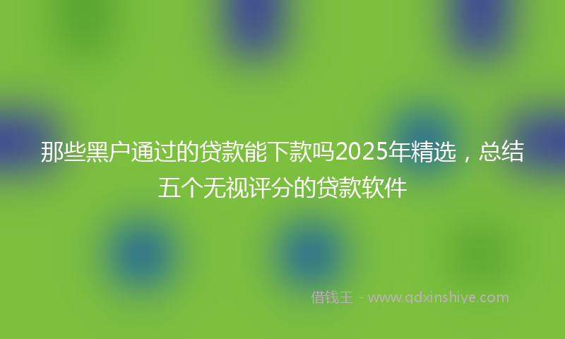 那些黑户通过的贷款能下款吗2025年精选，总结五个无视评分的贷款软件
