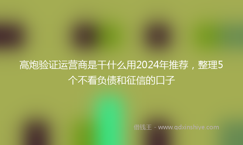 高炮验证运营商是干什么用2024年推荐，整理5个不看负债和征信的口子
