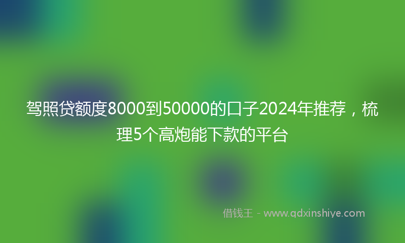 驾照贷额度8000到50000的口子2024年推荐，梳理5个高炮能下款的平台