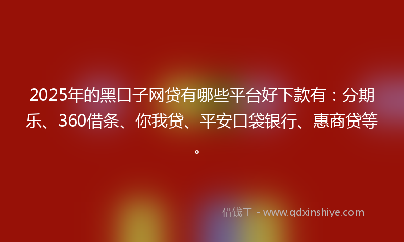 2025年的黑口子网贷有哪些平台好下款有：分期乐、360借条、你我贷、平安口袋银行、惠商贷等。