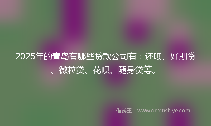 2025年的青岛有哪些贷款公司有：还呗、好期贷、微粒贷、花呗、随身贷等。