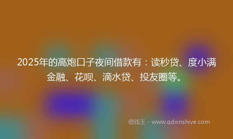 2025年的高炮口子夜间借款有：读秒贷、度小满金融、花呗、滴水贷、投友圈等。