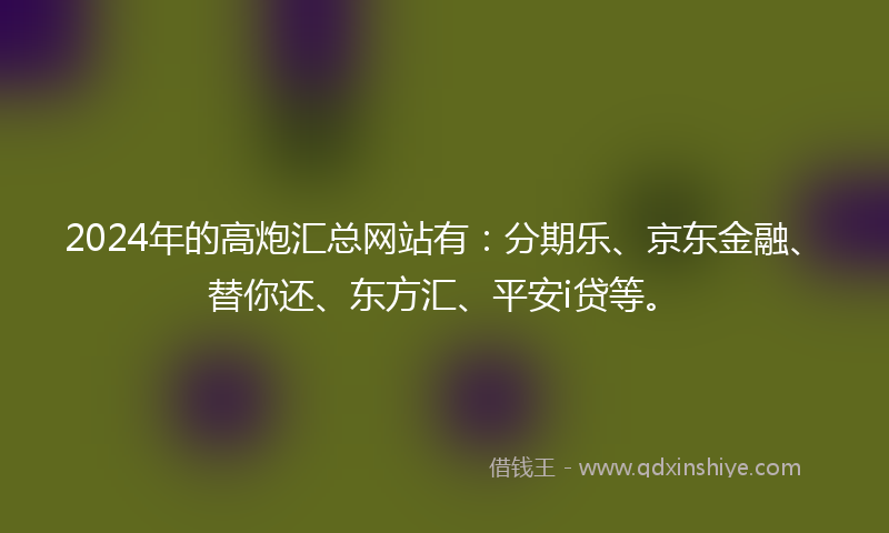 2024年的高炮汇总网站有：分期乐、京东金融、替你还、东方汇、平安i贷等。