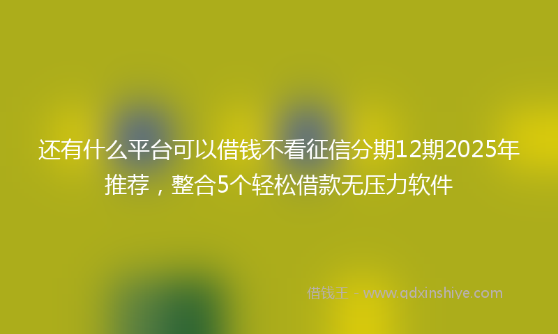 还有什么平台可以借钱不看征信分期12期2025年推荐，整合5个轻松借款无压力软件