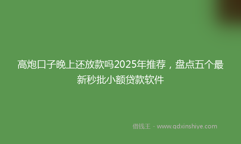 高炮口子晚上还放款吗2025年推荐，盘点五个最新秒批小额贷款软件