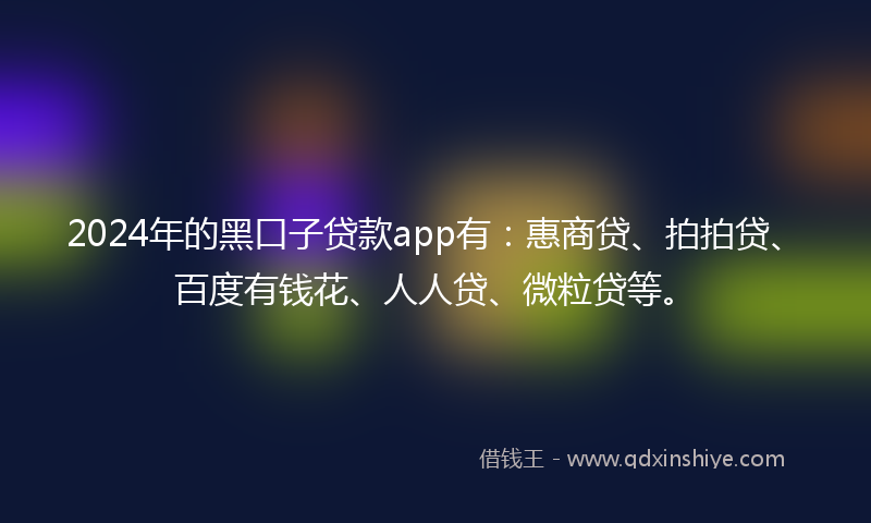2024年的黑口子贷款app有：惠商贷、拍拍贷、百度有钱花、人人贷、微粒贷等。
