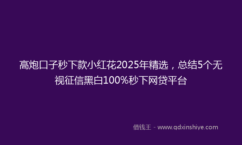 高炮口子秒下款小红花2025年精选，总结5个无视征信黑白100%秒下网贷平台