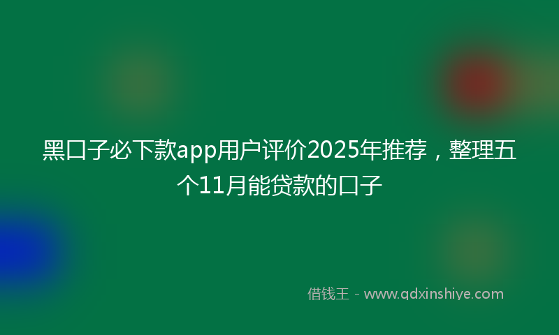 黑口子必下款app用户评价2025年推荐，整理五个11月能贷款的口子