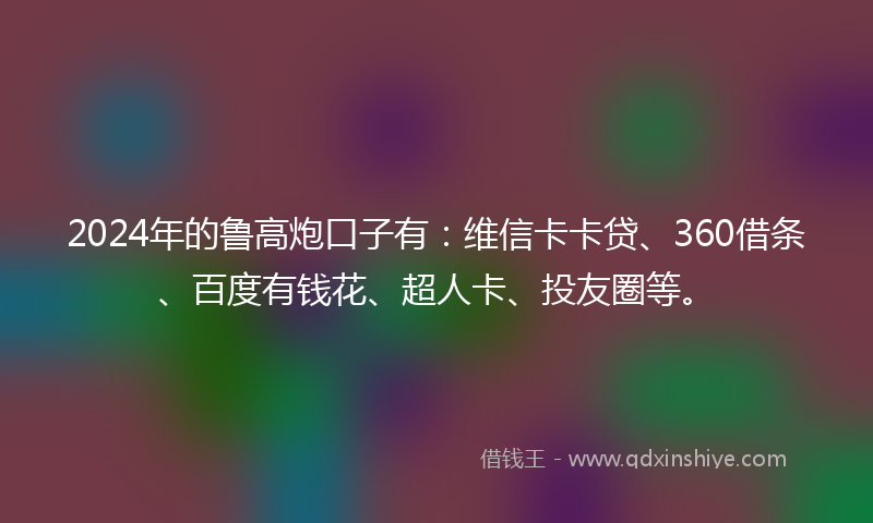 2024年的鲁高炮口子有：维信卡卡贷、360借条、百度有钱花、超人卡、投友圈等。