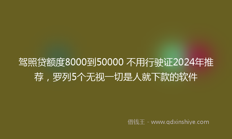 驾照贷额度8000到50000 不用行驶证2024年推荐，罗列5个无视一切是人就下款的软件