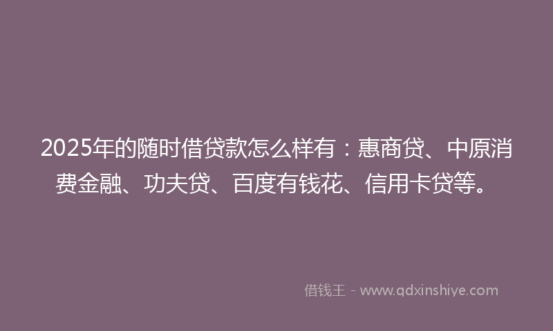2025年的随时借贷款怎么样有：惠商贷、中原消费金融、功夫贷、百度有钱花、信用卡贷等。