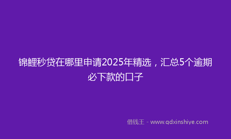 锦鲤秒贷在哪里申请2025年精选，汇总5个逾期必下款的口子