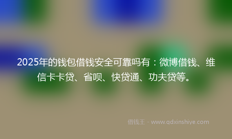 2025年的钱包借钱安全可靠吗有：微博借钱、维信卡卡贷、省呗、快贷通、功夫贷等。