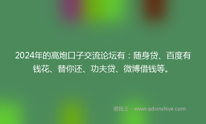 2024年的高炮口子交流论坛有：随身贷、百度有钱花、替你还、功夫贷、微博借钱等。