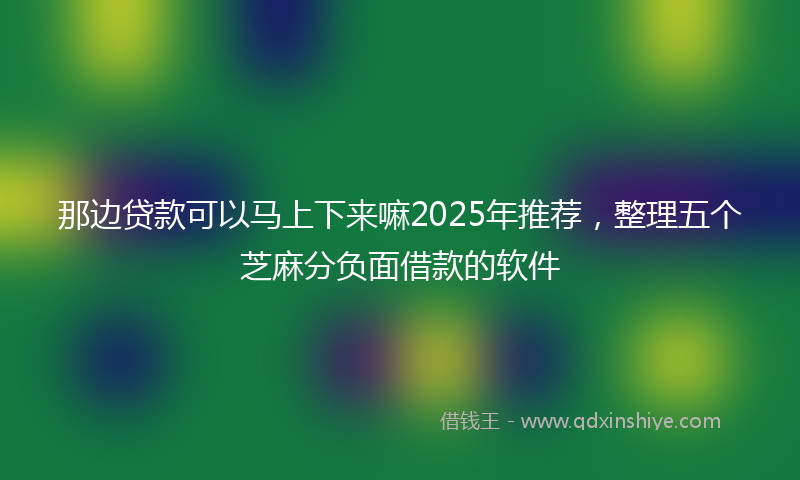 那边贷款可以马上下来嘛2025年推荐，整理五个芝麻分负面借款的软件