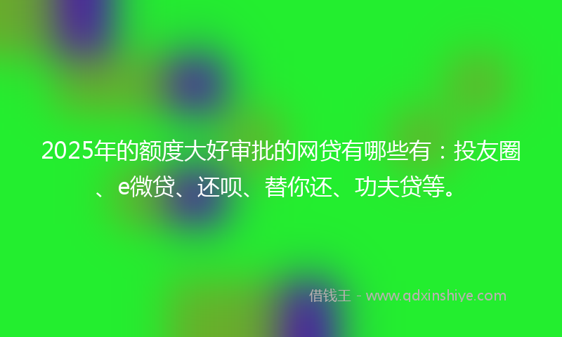 2025年的额度大好审批的网贷有哪些有：投友圈、e微贷、还呗、替你还、功夫贷等。