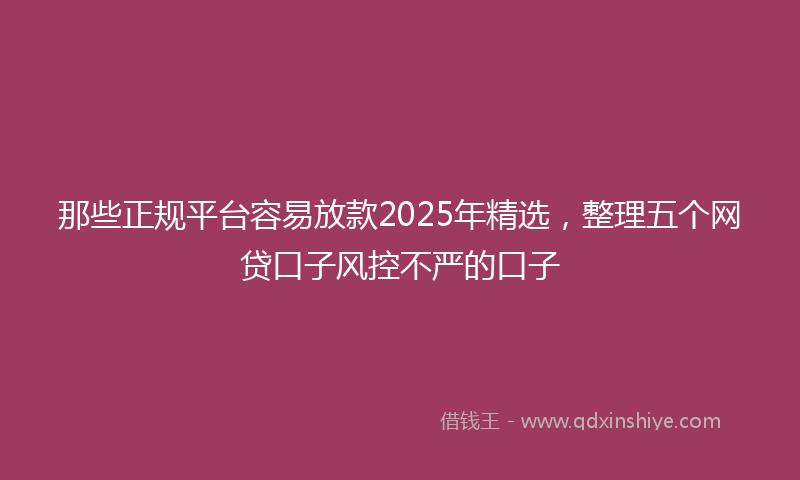那些正规平台容易放款2025年精选，整理五个网贷口子风控不严的口子