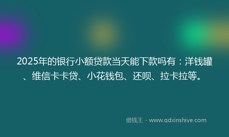 2025年的银行小额贷款当天能下款吗有：洋钱罐、维信卡卡贷、小花钱包、还呗、拉卡拉等。