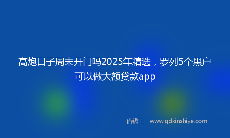 高炮口子周末开门吗2025年精选，罗列5个黑户可以做大额贷款app