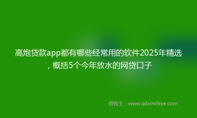 高炮贷款app都有哪些经常用的软件2025年精选，概括5个今年放水的网贷口子