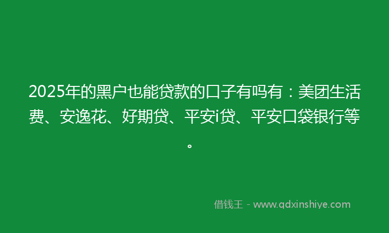 2025年的黑户也能贷款的口子有吗有：美团生活费、安逸花、好期贷、平安i贷、平安口袋银行等。