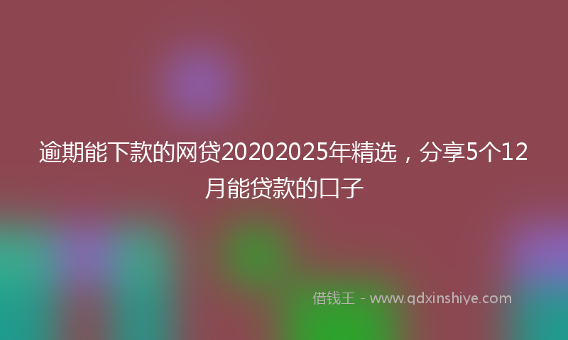逾期能下款的网贷20202025年精选，分享5个12月能贷款的口子