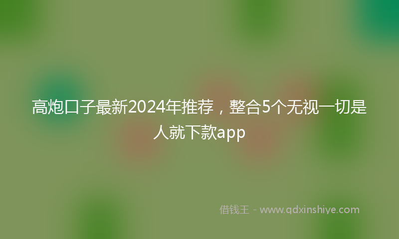 高炮口子最新2024年推荐，整合5个无视一切是人就下款app