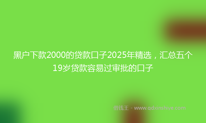 黑户下款2000的贷款口子2025年精选，汇总五个19岁贷款容易过审批的口子
