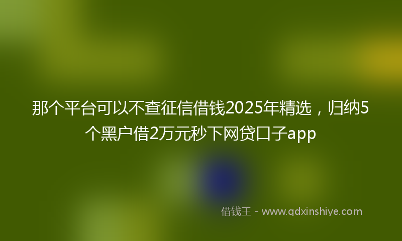 那个平台可以不查征信借钱2025年精选，归纳5个黑户借2万元秒下网贷口子app