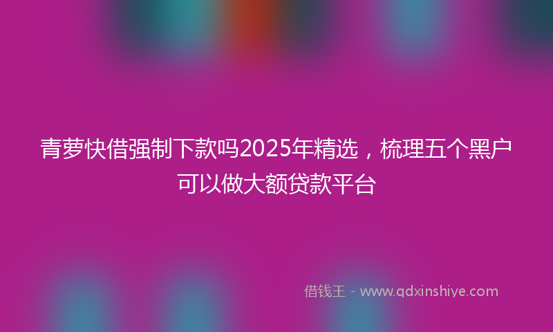 青萝快借强制下款吗2025年精选，梳理五个黑户可以做大额贷款平台