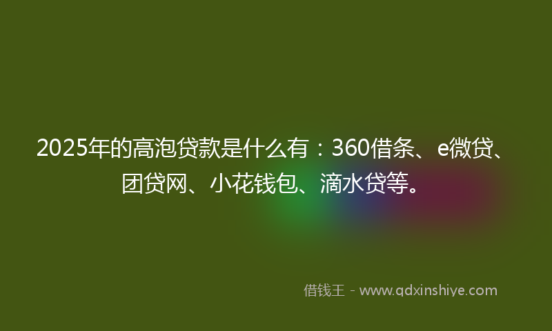 2025年的高泡贷款是什么有：360借条、e微贷、团贷网、小花钱包、滴水贷等。