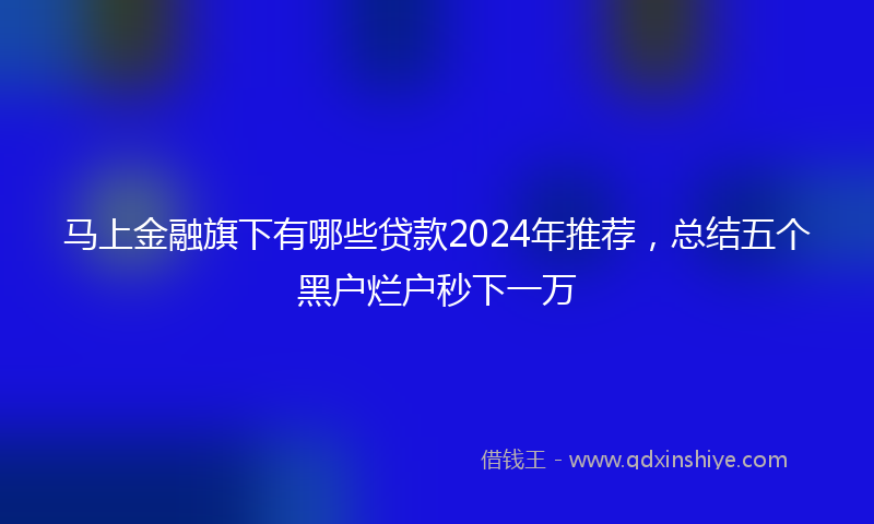 马上金融旗下有哪些贷款2024年推荐，总结五个黑户烂户秒下一万