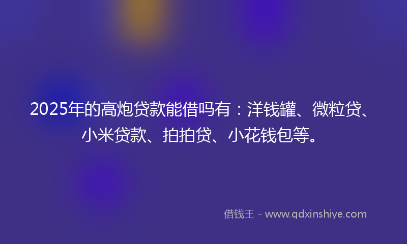 2025年的高炮贷款能借吗有：洋钱罐、微粒贷、小米贷款、拍拍贷、小花钱包等。