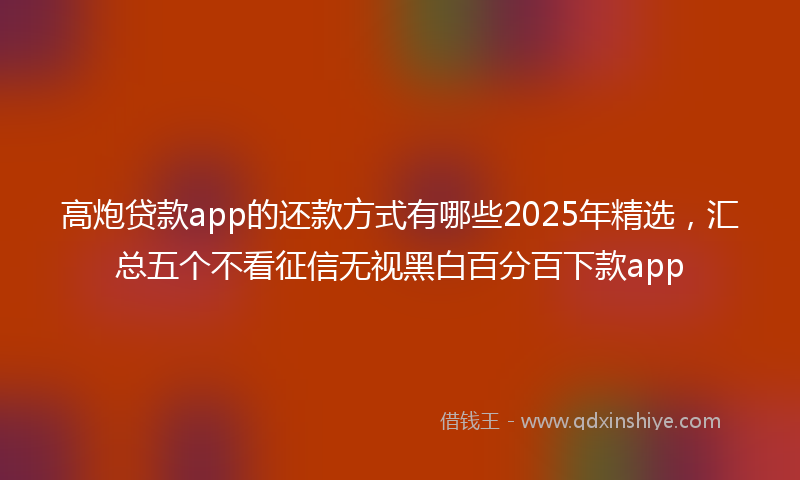 高炮贷款app的还款方式有哪些2025年精选，汇总五个不看征信无视黑白百分百下款app