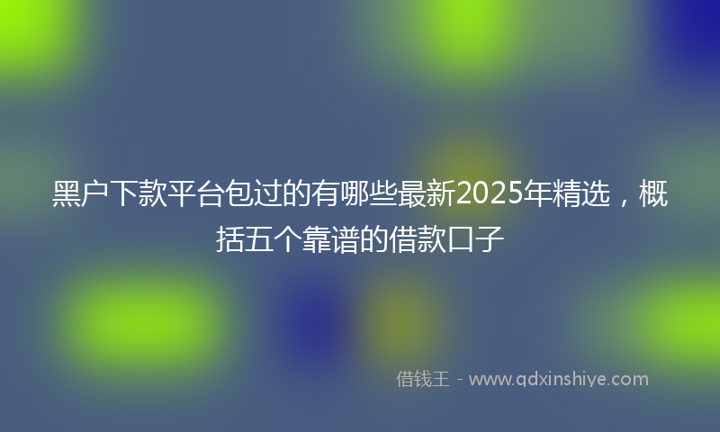 黑户下款平台包过的有哪些最新2025年精选，概括五个靠谱的借款口子