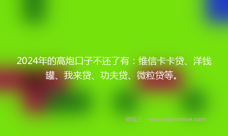 2024年的高炮口子不还了有：维信卡卡贷、洋钱罐、我来贷、功夫贷、微粒贷等。
