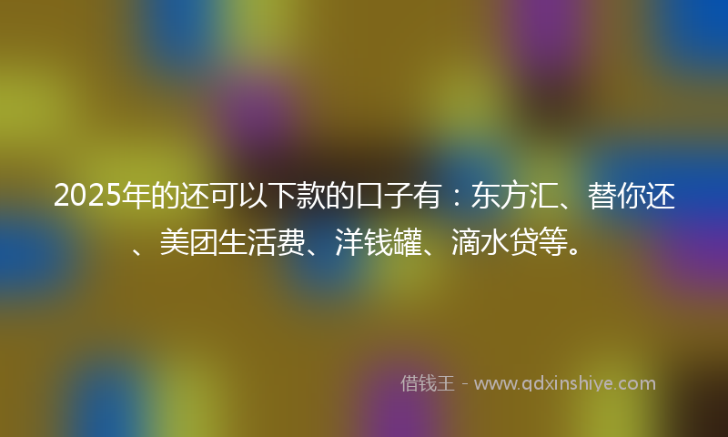 2025年的还可以下款的口子有：东方汇、替你还、美团生活费、洋钱罐、滴水贷等。
