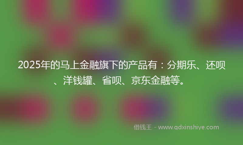 2025年的马上金融旗下的产品有：分期乐、还呗、洋钱罐、省呗、京东金融等。