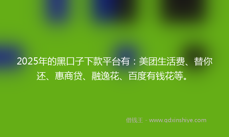 2025年的黑口子下款平台有：美团生活费、替你还、惠商贷、融逸花、百度有钱花等。