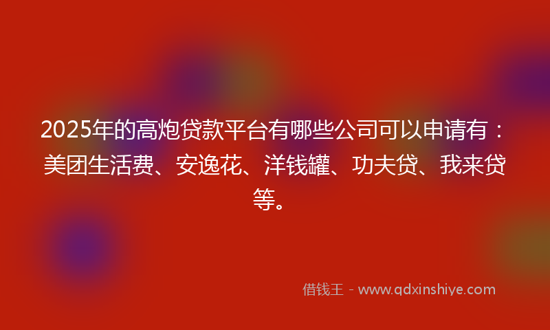 2025年的高炮贷款平台有哪些公司可以申请有：美团生活费、安逸花、洋钱罐、功夫贷、我来贷等。