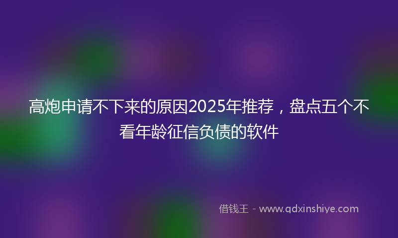 高炮申请不下来的原因2025年推荐，盘点五个不看年龄征信负债的软件