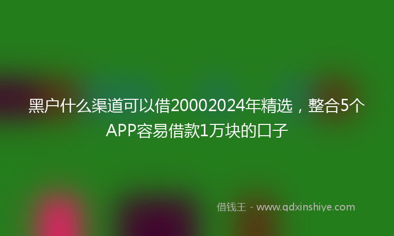 黑户什么渠道可以借20002024年精选，整合5个APP容易借款1万块的口子