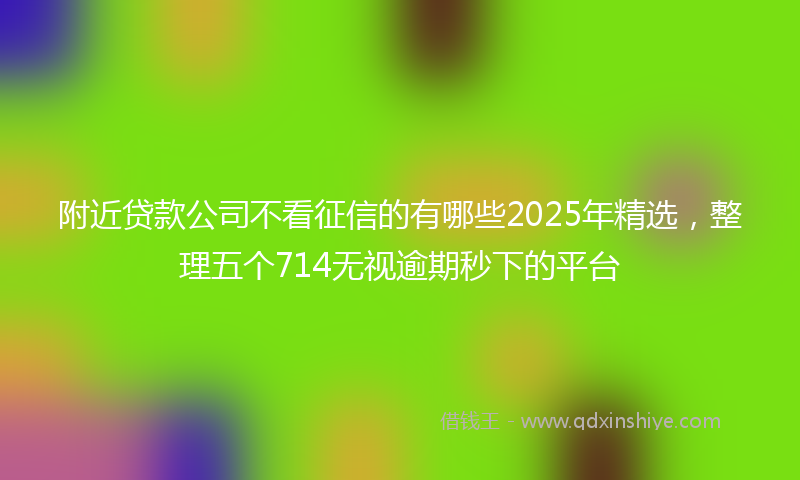 附近贷款公司不看征信的有哪些2025年精选，整理五个714无视逾期秒下的平台