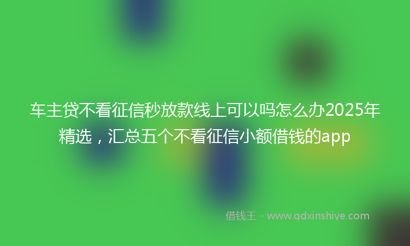 车主贷不看征信秒放款线上可以吗怎么办2025年精选，汇总五个不看征信小额借钱的app