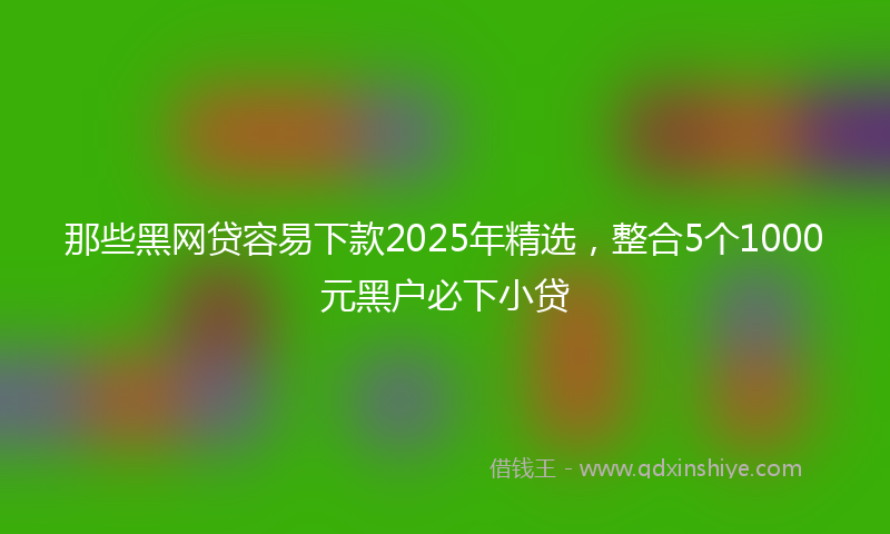 那些黑网贷容易下款2025年精选，整合5个1000元黑户必下小贷