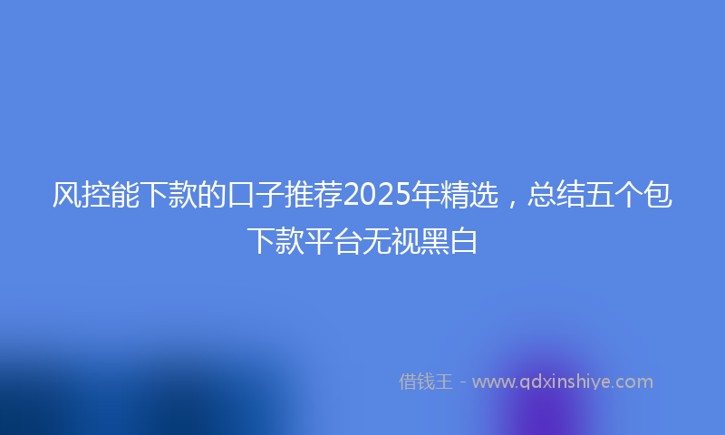 风控能下款的口子推荐2025年精选，总结五个包下款平台无视黑白